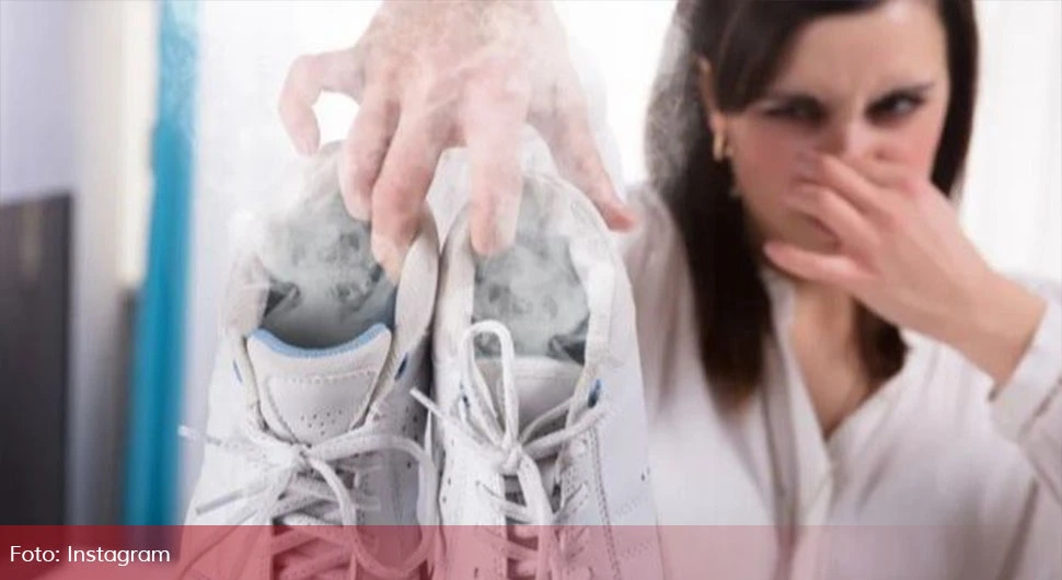 67e677ab09c95-Untitled-1 (15).webp